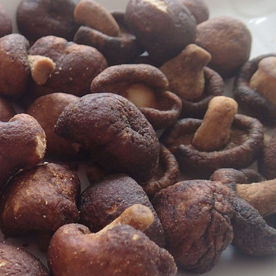 Goede prijs Droge Mini Mushroom Vacuum Not Add-Kleur voor Zwangere Vrouwenkinderen online