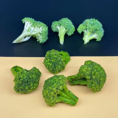 Goede prijs Krullerig Sauregeur Vacuüm Gebakken Broccoli Voedingsrijke Snack Elevatine online