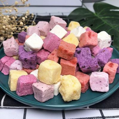 Goede prijs Geurige, diepgedroogde yoghurt snacks met veel eiwitten Drakenfruit smaak 25g voor herstel na de training